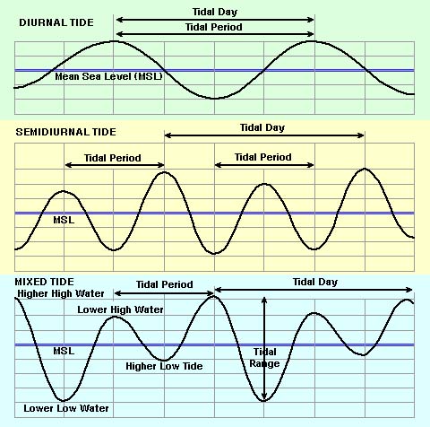 Tidal Curves